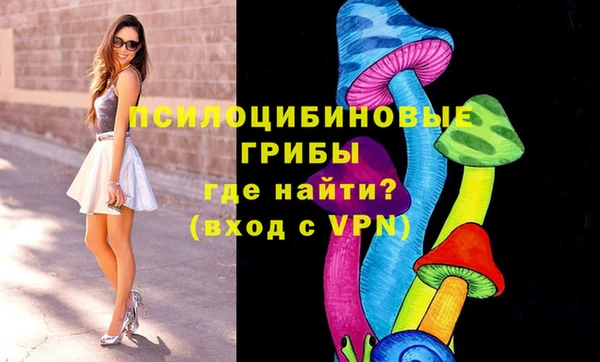 стафф Баксан